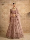 Alizeh 1084 Colours Butterfly Net Designer Lehenga Choli Wholesale Online
